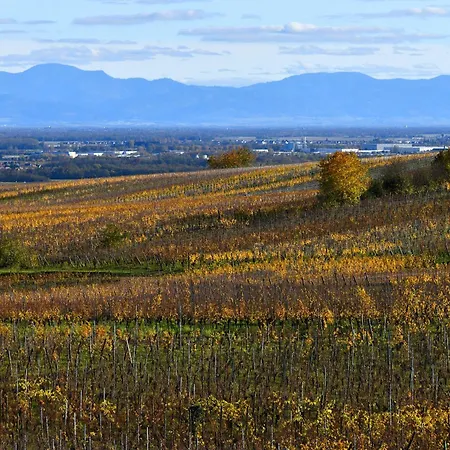 Les Balcons De Apartment